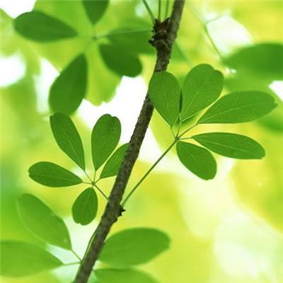 逗比嘻游破解版下载