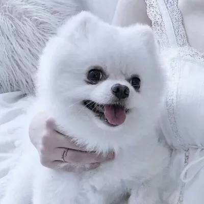 天剑琴缘测试版下载